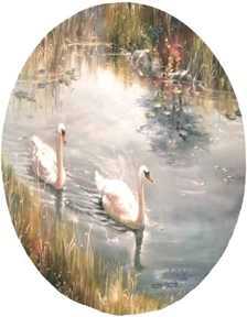 Swan Symphony by Marty Bell Pricing Limited Edition Print image