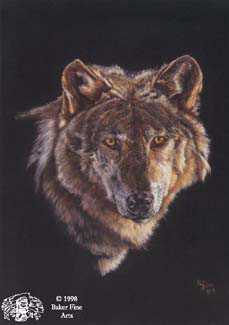 Grey Wolf by Pat E Baker Pricing Limited Edition Print image