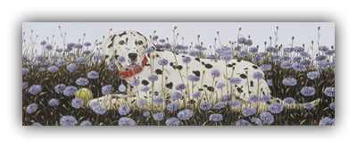 Spotted In Garden by Lorena Pugh Pricing Limited Edition Print image