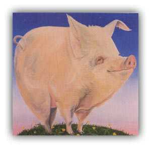 Square Pig by Lorena Pugh Pricing Limited Edition Print image