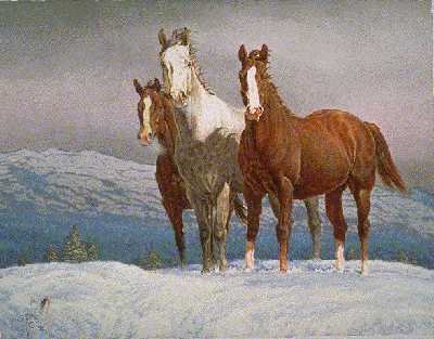 Companions by Bob Moline Pricing Limited Edition Print image