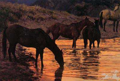 Watering Hole Red by Bill Owen Pricing Limited Edition Print image