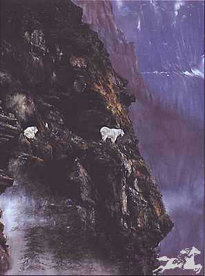 Mountain Goats On Edge by Anne Page Pricing Limited Edition Print image