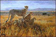 Vantage Point by Julia Rogers Pricing Limited Edition Print image