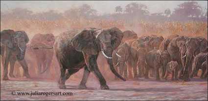 Elephant Herd by Julia Rogers Pricing Limited Edition Print image