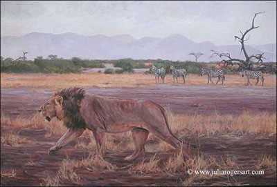 Amboselli Lion by Julia Rogers Pricing Limited Edition Print image