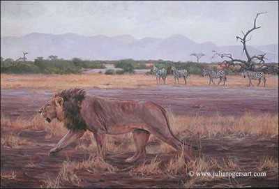 Amboselli Lion by Julia Rogers Pricing Limited Edition Print image