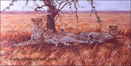 Serengeti Cheetahs by Julia Rogers Pricing Limited Edition Print image