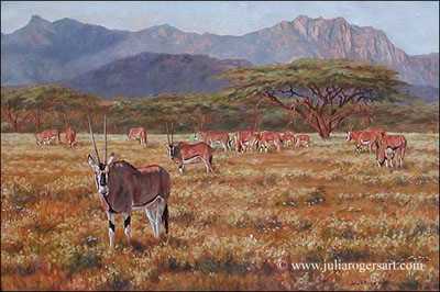 Samburu Oryx by Julia Rogers Pricing Limited Edition Print image