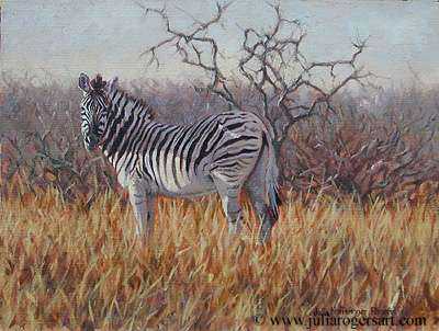Zebra by Julia Rogers Pricing Limited Edition Print image