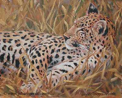 Leopard by Julia Rogers Pricing Limited Edition Print image
