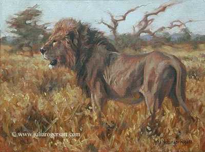 Zimbabwe Lion by Julia Rogers Pricing Limited Edition Print image