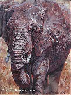 Elephant by Julia Rogers Pricing Limited Edition Print image