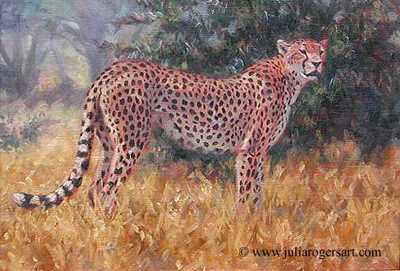 Cheetah by Julia Rogers Pricing Limited Edition Print image