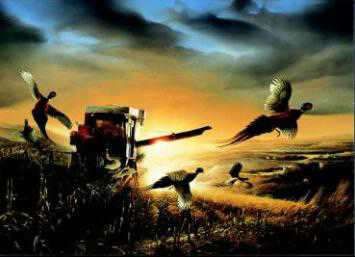 Evening Surprise by Terry Redlin Pricing Limited Edition Print image