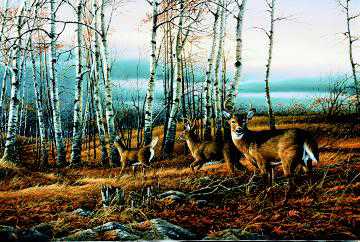 Birch Line by Terry Redlin Pricing Limited Edition Print image