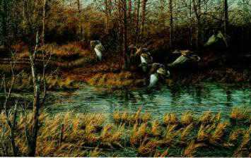 Apple River Mallard by Terry Redlin Pricing Limited Edition Print image