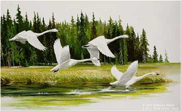 Along River Swans by Maynard Reece Pricing Limited Edition Print image