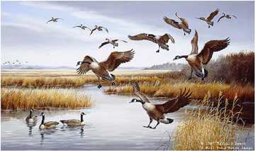 Careful Landing Geese by Maynard Reece Pricing Limited Edition Print image