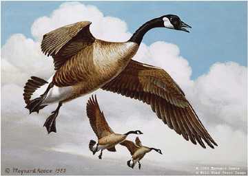 Coasting Down Geese by Maynard Reece Pricing Limited Edition Print image