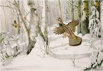 Heavy Snow Grouse by Maynard Reece Pricing Limited Edition Print image