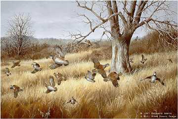 Old Tree Bobwhites by Maynard Reece Pricing Limited Edition Print image