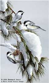 Red Pine Chickadees by Maynard Reece Pricing Limited Edition Print image