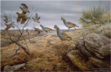 Running Blues Quail by Maynard Reece Pricing Limited Edition Print image