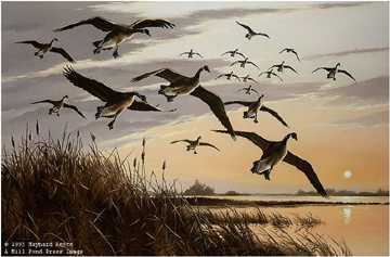 Sunset Canada Geese by Maynard Reece Pricing Limited Edition Print image