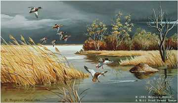Tranquil Marsh Mallrds by Maynard Reece Pricing Limited Edition Print image