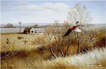 Weedy Draw Pheasants by Maynard Reece Pricing Limited Edition Print image
