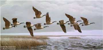 Over The Marsh Geese by Maynard Reece Pricing Limited Edition Print image
