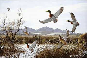 Flaring Mallards by Maynard Reece Pricing Limited Edition Print image