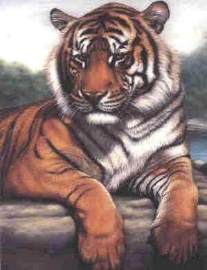 Bengal Tiger by Harold Rigsby Pricing Limited Edition Print image