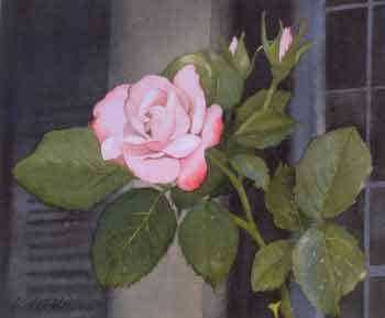 Summer Rose by Linda Roberts Pricing Limited Edition Print image