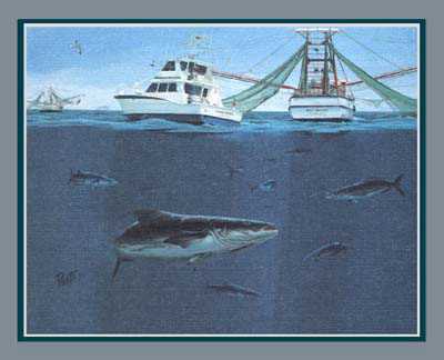 Cobia Fever by Willard Pratt Pricing Limited Edition Print image