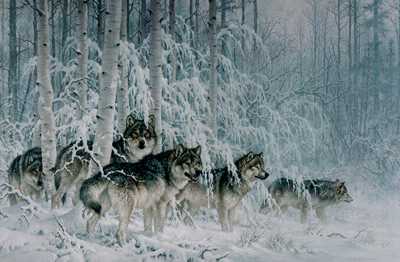 Crystal Forest Wolves by Larry Fanning Pricing Limited Edition Print image