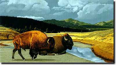 Where Buffalo by Don Rodell Pricing Limited Edition Print image