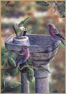 Bird Bath by Mark Bordignon Pricing Limited Edition Print image