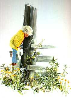 A Closer Look by Carolyn Blish Pricing Limited Edition Print image