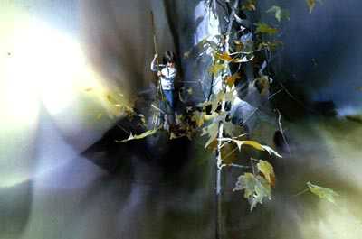 Last Leaves by Carolyn Blish Pricing Limited Edition Print image