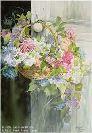 Hanging Hydrangeas by Carolyn Blish Pricing Limited Edition Print image