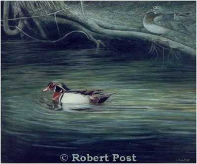 Wood Ducks by Robert Post Pricing Limited Edition Print image