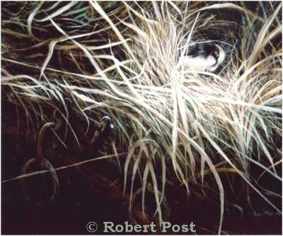 Under Cover by Robert Post Pricing Limited Edition Print image