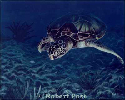Deep Blue by Robert Post Pricing Limited Edition Print image
