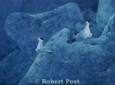 Terning Rocks by Robert Post Pricing Limited Edition Print image