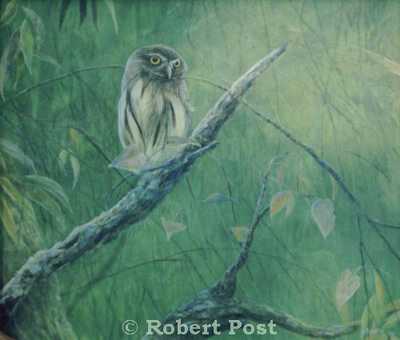 Owl by Robert Post Pricing Limited Edition Print image
