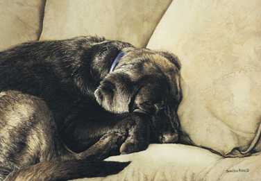 Dog Nap by Sueellen Ross Pricing Limited Edition Print image