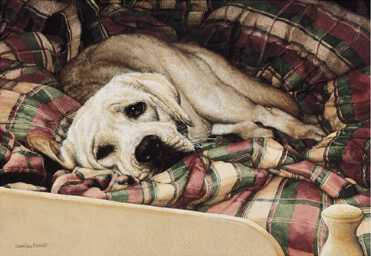 Bed Warmer by Sueellen Ross Pricing Limited Edition Print image