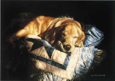 Snooze by Sueellen Ross Pricing Limited Edition Print image